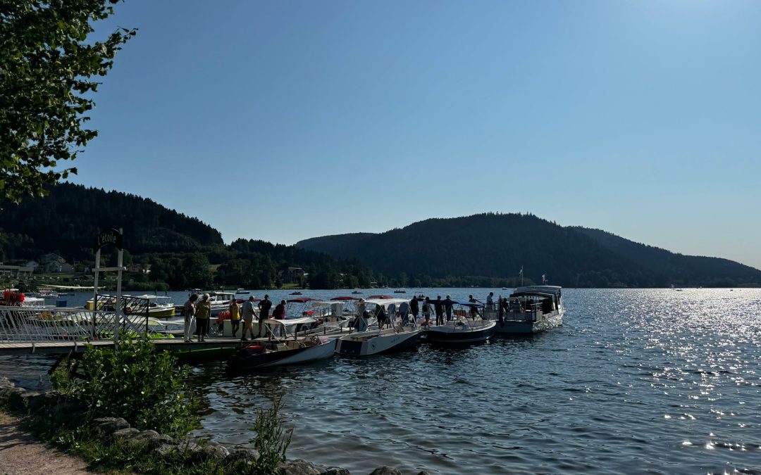 IMG-20240723-WA0008